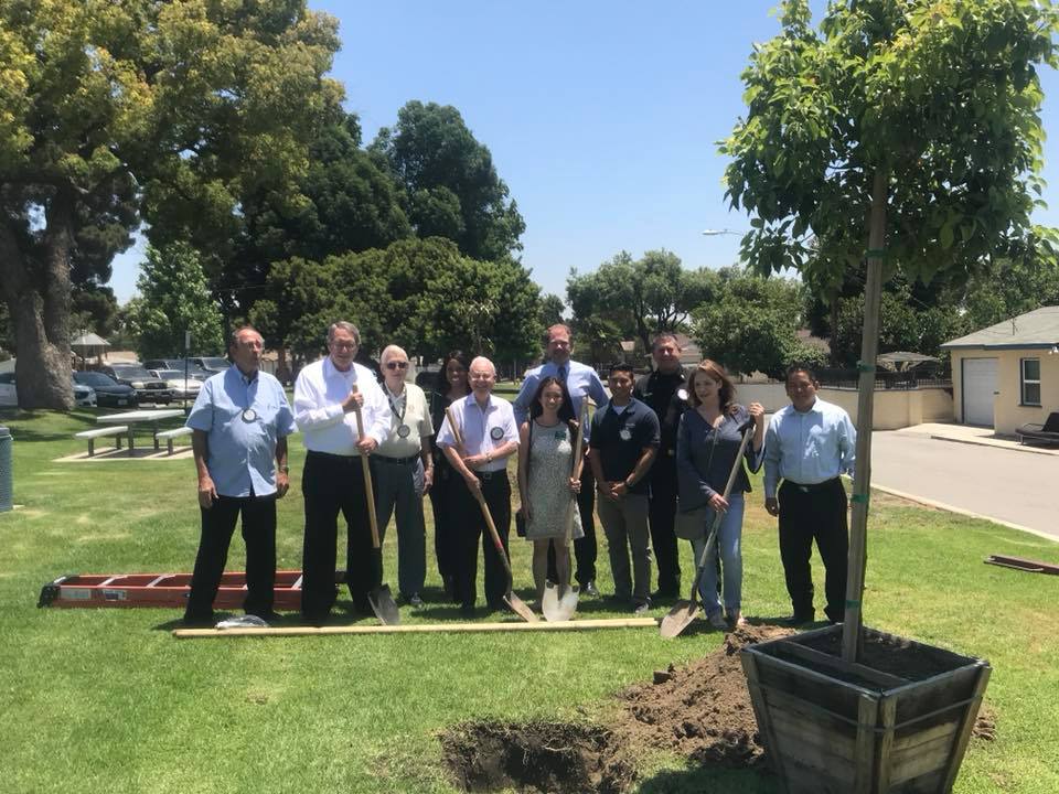 Chino Rotary Club Dave King Tree